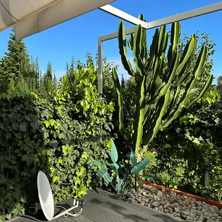 Aquamar دينايا